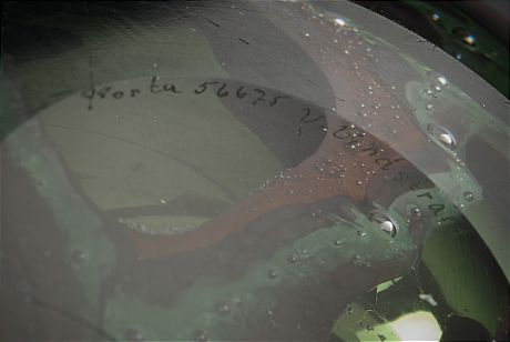 Vas Vicke Lindstrand