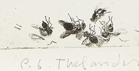 P G Thelander färgetsning