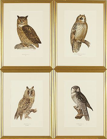 Grafiska blad von Wright