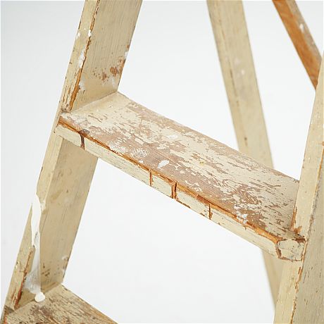 Stege 1800-talets första hälft