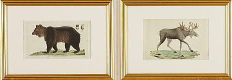 Kopparstick Palmstruch