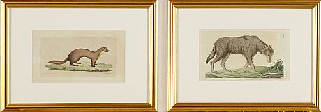 Kopparstick Palmstruch