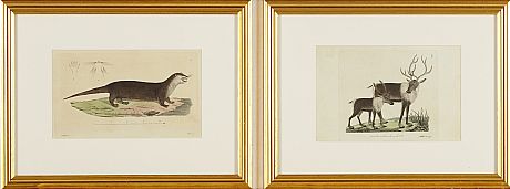 Kopparstick Palmstruch