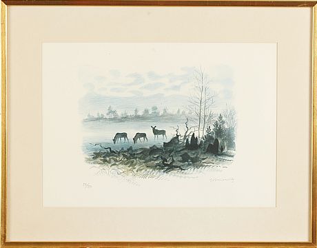 Gunnar Brusewitz