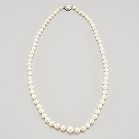 Collier odlade saltvattenspärlor