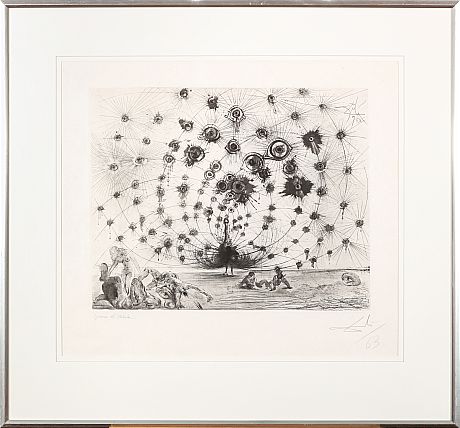 Salvador Dali Tema