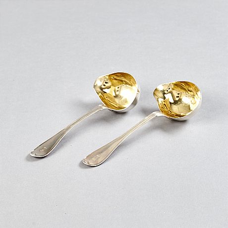 Såsslevar Zethelius