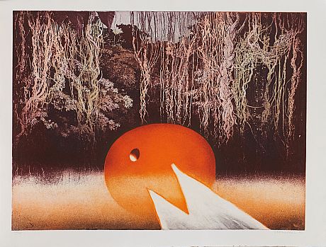 C. O. Hultén två färgetsningar