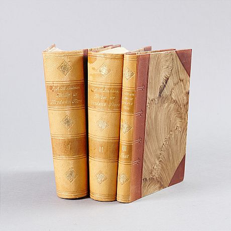 C.A.M. LIndman Bilder ur Nordens Flora