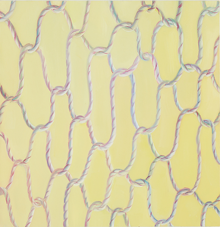 Matthew Draper, Rope Net