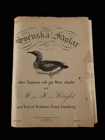 Von Wright fågelplanscher