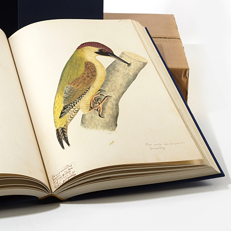 Rudbeck´s Book of birds in facsimile